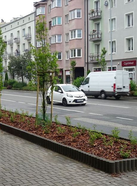 Nowa roślinność na ulicach Radomia