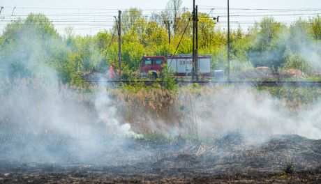 Pożar nieużytków w okolicach ul. Olsztyńskiej (zdjęcia)